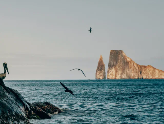 Several birds fly over the ocean near rocky cliffs, with a large rock formation rising from the water in the background.